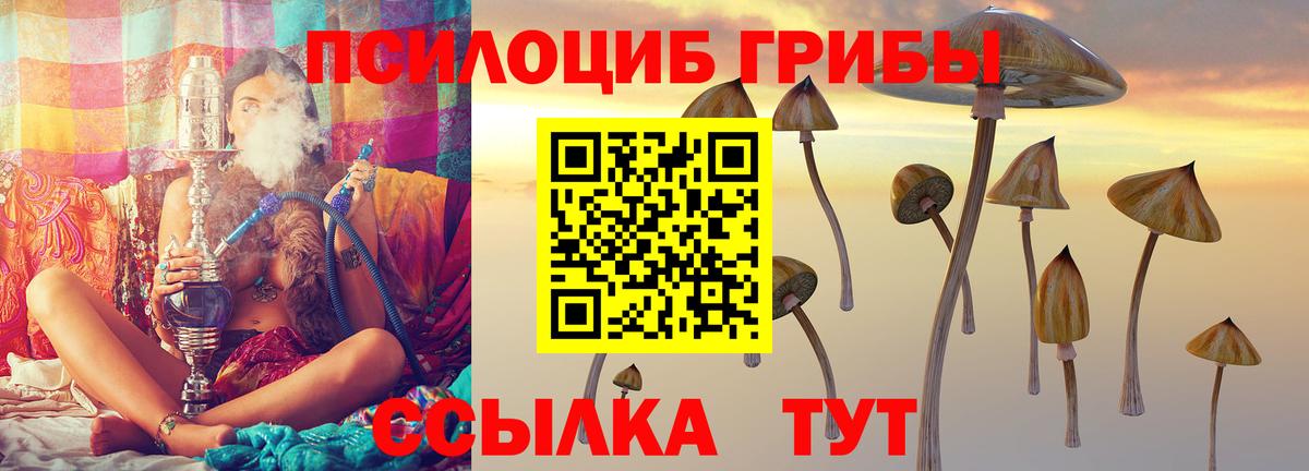 Псилоцибиновые грибы Psilocybine cubensis Тольятти